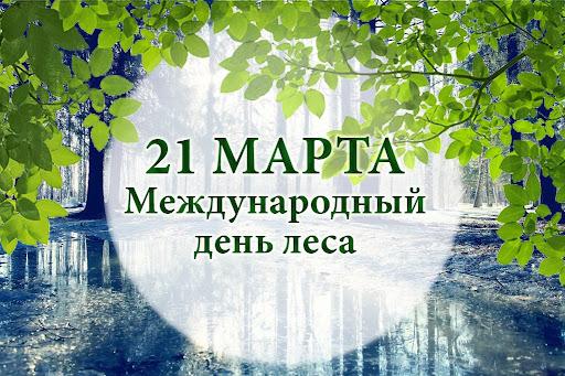 21 марта Международный день леса