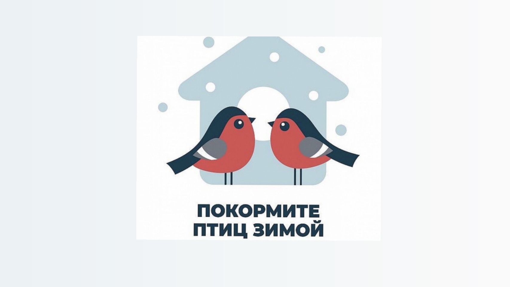 Экологическая акция «Покормите птиц зимой»